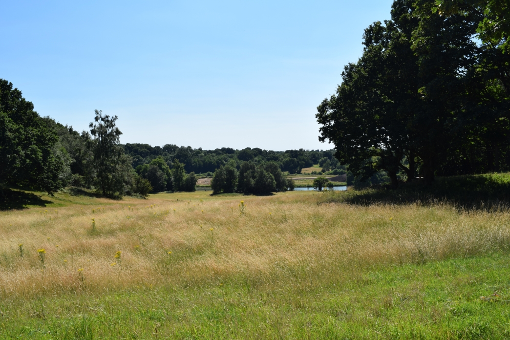 Panshanger Park Herts and Middlesex Wildlife Trust